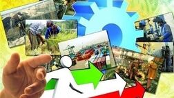  بخش خدمات رکوددار تعداد شاغلین شد 
