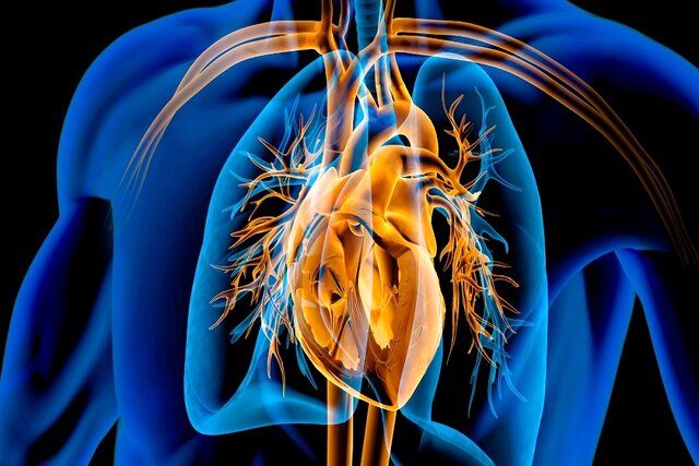 عفونت‌های درمان‌نشده در کودکی، تهدیدی برای دریچه‌های قلب در میانسالی
