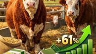 رشد 61 درصدی حمایت بانک کشاورزی از تولید گوشت قرمز در کشور
