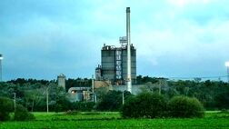 سیمان مازندران سرپرست خود را شناخت