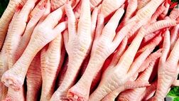 از ماه آینده صادرات پای مرغ به چین مستقیم می‌شود