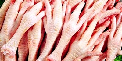 از ماه آینده صادرات پای مرغ به چین مستقیم می‌شود
