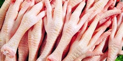 از ماه آینده صادرات پای مرغ به چین مستقیم می‌شود