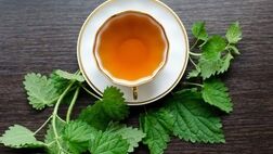 دمنوش گزنه؛ راهکاری طبیعی برای دفع سنگ کلیه