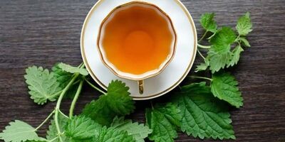 دمنوش گزنه؛ راهکاری طبیعی برای دفع سنگ کلیه