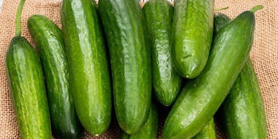 هر کیلو گرم خیار در رنج ۸۰ هزار تومان