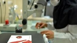 3 و نیم میلیون زوج نابارور در انتظار حمایت بیمه‌ای