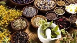 خطرات لاغری با داروهای گیاهی غیر مجاز چیست؟