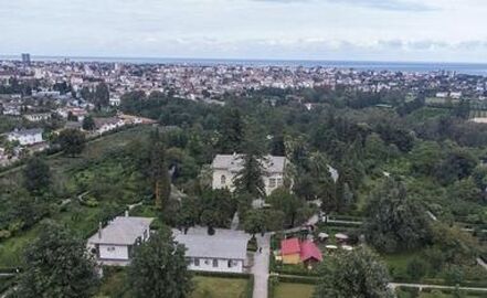 thm_18414440_881