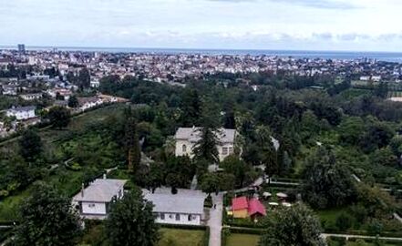 thm_18414440_881
