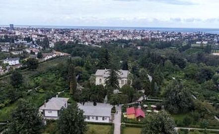 thm_18414440_881