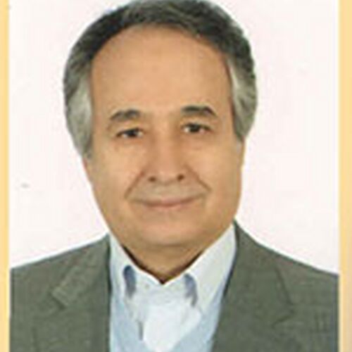 محمد حیدرزاده
