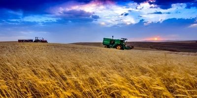 نابسامانی در بازار نهاده‌های دامی کماکان ادامه دارد؟
