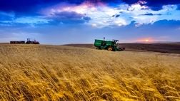 ضرورت واردات ۵ میلیون تن گندم کسری کشور

