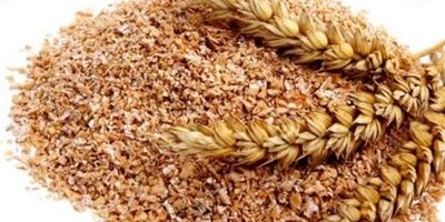 قیمت هر کیلوگرم سبوس ۶ هزار تومان اعلام شد