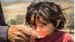 افزایش۶۰ درصدی سطوح درآمدی بیمه‌شدگان صندوق بیمه روستاییان در سال آتی
