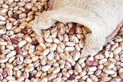 کشف بیش از 5 تن لوبیا چیتی قاچاق در راه آهن تهران