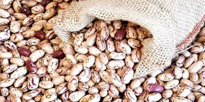 کشف بیش از 5 تن لوبیا چیتی قاچاق در راه آهن تهران