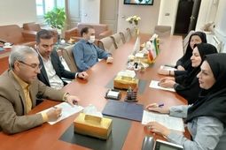 گسترش پوشش‌های بیمه‌ای در کشور با پیوند راهبردی بیمه ایران و تعاون روستایی

