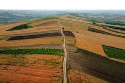 کشت پاییزه با تاخیر آغاز می‌شود