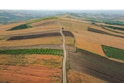 رفع تعرض فوری از ۳۱۳ هکتار زمین دولتی 