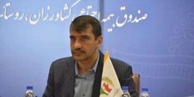 صندوق روستائیان و عشایر، با دریافت 15 درصد حق بیمه عمر زیادی ندارد