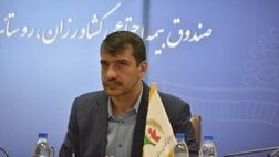 صندوق روستائیان و عشایر، با دریافت 15 درصد حق بیمه عمر زیادی ندارد