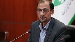 خسارت حیات وحش بالاتر از پوشش بیمه‌ای سازمان محیط زیست  است
