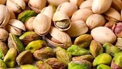 صادرات پسته ایران به اروپا به ۶۴ میلیون و ۲۲۸ هزار یورو رسید