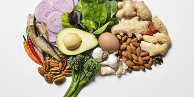 چطور از آلزایمر پیشگیری کنیم؟ + بهترین و قوی‌ترین مواد غذایی ضد آلزایمر