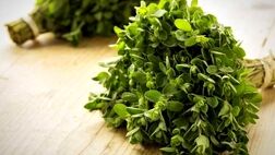 مرزنجوش سبب بهبود یادگیری فضایی در بیماری آلزایمر می‌شود