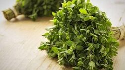 مرزنجوش سبب بهبود یادگیری فضایی در بیماری آلزایمر می‌شود