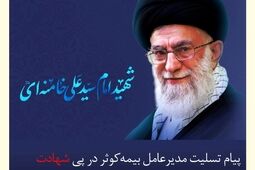 پیام تسلیت مدیرعامل بیمه کوثر در پی شهادت عبد واصل الهی و رهبر عالیقدر جهانی
