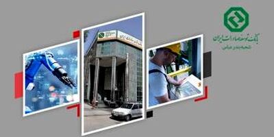 عزم جدی اگزیم بانک ایران در حمایت از شرکت های دانش بنیان صادراتی

