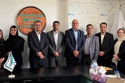 برگزاری کارگاه تخصصی «تحول دیجیتال و هوش مصنوعی» بیمه دی در زنجان
