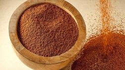 تاثیر خاکشیر بر بهبود عملکرد کبد
