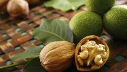 گردو ؛ میان‌وعده‌ای کوچک با اثری بزرگ بر سلامت قلب
