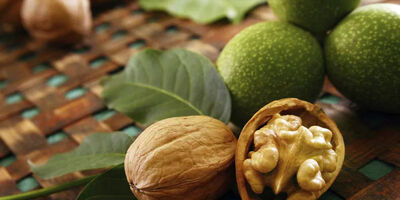 گردو ؛ میان‌وعده‌ای کوچک با اثری بزرگ بر سلامت قلب
