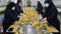 بیشترین سهم اشتغال در بخش خدمات با ۵۱.۲ درصد