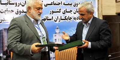 چایکاران بیمه می‌شوند/ تعاونی دهیاران در خدمت بیمه