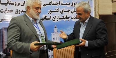 چایکاران بیمه می‌شوند/ تعاونی دهیاران در خدمت بیمه