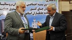 چایکاران بیمه می‌شوند/ تعاونی دهیاران در خدمت بیمه