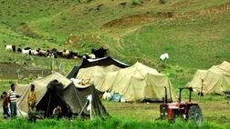 عشایر امسال بیمه رایگان می‌شوند