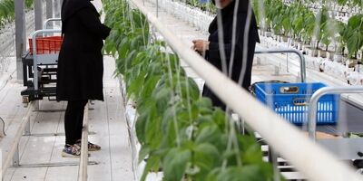  ۱۲ طرح سرمایه‌گذاری در منطقه آزاد ارس افتتاح شد