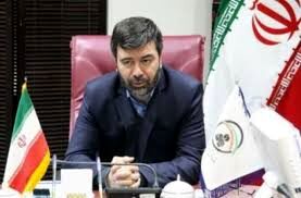 پیام تسلیت مدیرعامل صندوق تامین خسارت‌های بدنی به مناسبت شهادت سردار سلیمانی