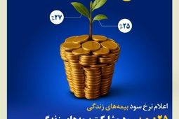 ۲۵درصد سود مشارکت بیمه‌های زندگی بیمه کوثر در سال ۱۴۰۳
