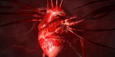 چگونه قلب خود را سالم نگه داریم؟
