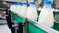 قیمت جدید شیر خام از امروز وارد مرحله اجرا می شود