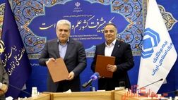صنعت بیمه برای افزایش ضریب نفوذ از ظرفیت دانش بنیان بهره می‌گیرد