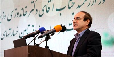 صندوق تامین خسارت های بدنی یک نهاد مشکل گشا و مکمل صنعت بیمه به حساب می آید